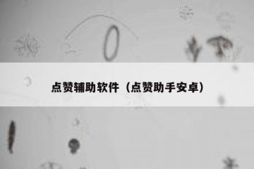 点赞辅助软件（点赞助手安卓）