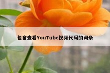 包含查看YouTube视频代码的词条