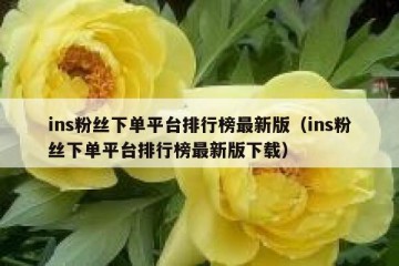 ins粉丝下单平台排行榜最新版（ins粉丝下单平台排行榜最新版下载）