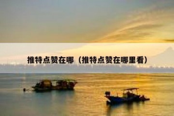 推特点赞在哪（推特点赞在哪里看）