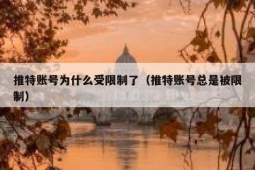 推特账号为什么受限制了（推特账号总是被限制）