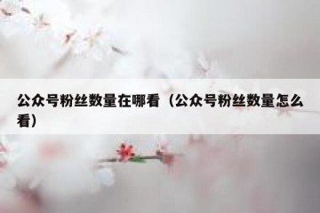 公众号粉丝数量在哪看（公众号粉丝数量怎么看）