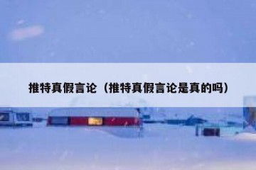 推特真假言论（推特真假言论是真的吗）