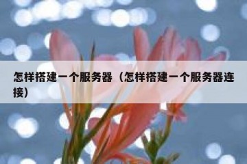 怎样搭建一个服务器（怎样搭建一个服务器连接）