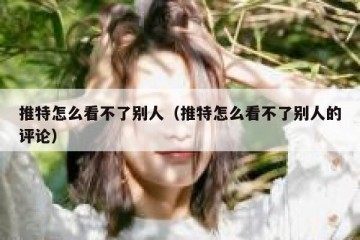 推特怎么看不了别人（推特怎么看不了别人的评论）