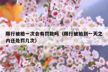 限行被拍一次会有罚款吗（限行被拍到一天之内还处罚几次）