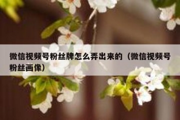 微信视频号粉丝牌怎么弄出来的（微信视频号粉丝画像）