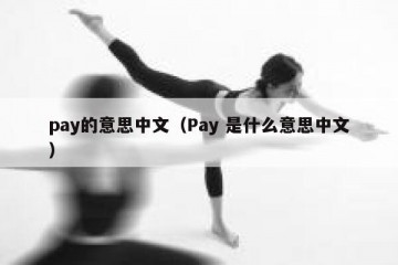 pay的意思中文（Pay 是什么意思中文）