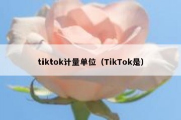 tiktok计量单位（TikTok是）
