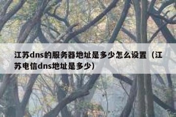 江苏dns的服务器地址是多少怎么设置（江苏电信dns地址是多少）