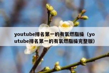youtube排名第一的有氧燃脂操（youtube排名第一的有氧燃脂操完整版）