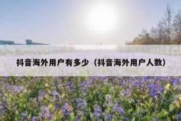 抖音海外用户有多少（抖音海外用户人数）