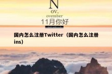 国内怎么注册Twitter（国内怎么注册ins）