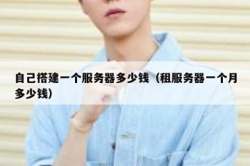 自己搭建一个服务器多少钱（租服务器一个月多少钱）