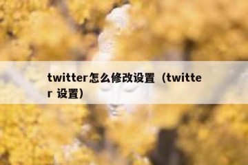 twitter怎么修改设置（twitter 设置）