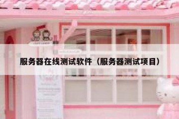 服务器在线测试软件（服务器测试项目）
