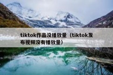 tiktok作品没播放量（tiktok发布视频没有播放量）
