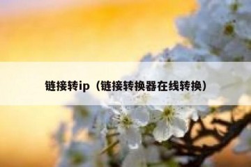 链接转ip（链接转换器在线转换）