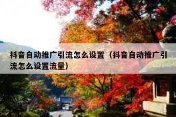 抖音自动推广引流怎么设置（抖音自动推广引流怎么设置流量）