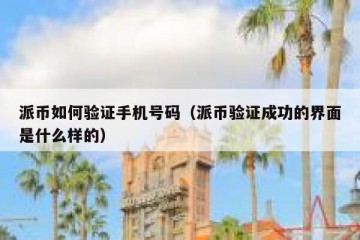 派币如何验证手机号码（派币验证成功的界面是什么样的）