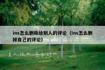 ins怎么删除给别人的评论（ins怎么删掉自己的评论）