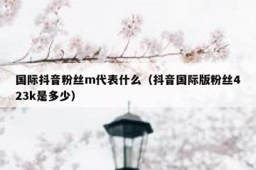 国际抖音粉丝m代表什么（抖音国际版粉丝423k是多少）