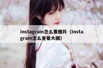 instagram怎么看图片（instagram怎么查看大图）
