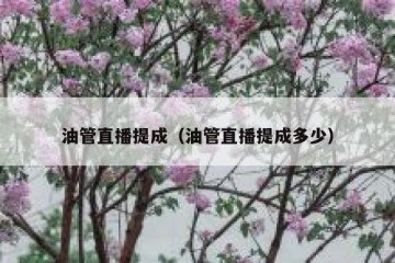 油管直播提成（油管直播提成多少）