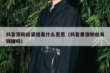 抖音涨粉丝渠道是什么意思（抖音里涨粉丝有钱赚吗）