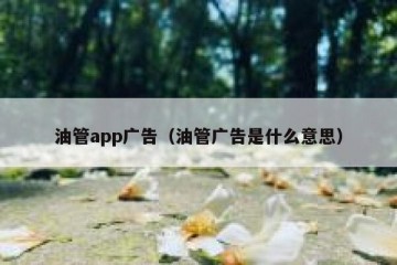 油管app广告（油管广告是什么意思）