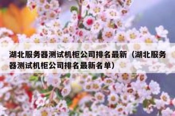 湖北服务器测试机柜公司排名最新（湖北服务器测试机柜公司排名最新名单）