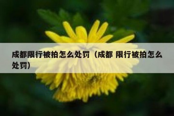 成都限行被拍怎么处罚（成都 限行被拍怎么处罚）