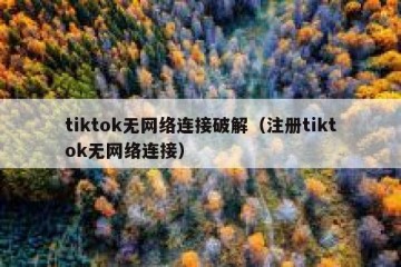 tiktok无网络连接破解（注册tiktok无网络连接）