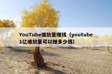 YouTube播放量赚钱（youtube1亿播放量可以赚多少钱）