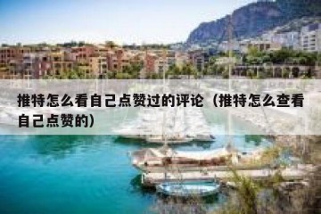 推特怎么看自己点赞过的评论（推特怎么查看自己点赞的）