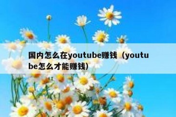国内怎么在youtube赚钱（youtube怎么才能赚钱）