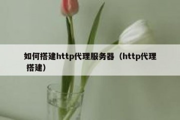 如何搭建http代理服务器（http代理 搭建）