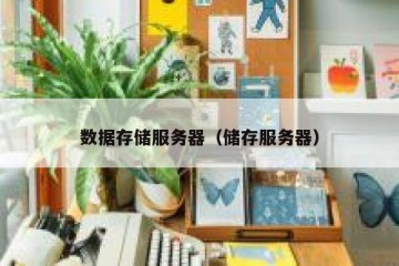 数据存储服务器（储存服务器）