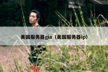 美国服务器gia（美国服务器ip）
