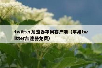 twitter加速器苹果客户端（苹果twitter加速器免费）