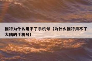 推特为什么用不了手机号（为什么推特用不了大陆的手机号）
