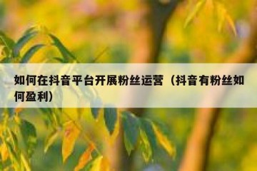 如何在抖音平台开展粉丝运营（抖音有粉丝如何盈利）