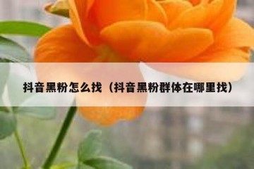 抖音黑粉怎么找（抖音黑粉群体在哪里找）