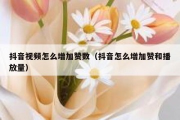 抖音视频怎么增加赞数（抖音怎么增加赞和播放量）