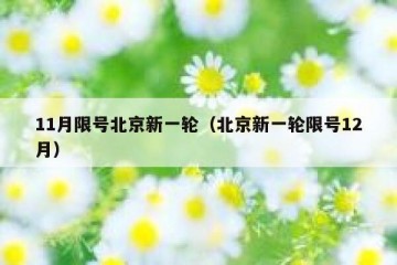 11月限号北京新一轮（北京新一轮限号12月）