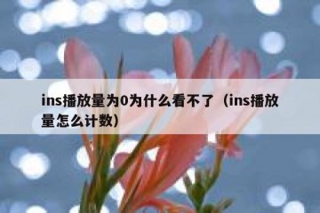 ins播放量为0为什么看不了（ins播放量怎么计数）