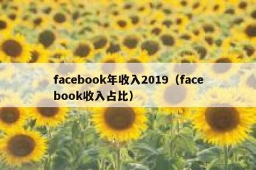 facebook年收入2019（facebook收入占比）