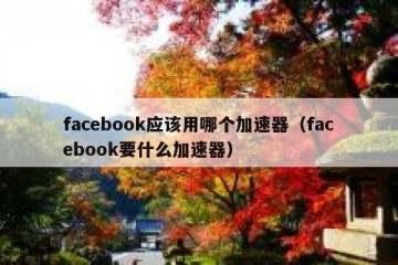 facebook应该用哪个加速器（facebook要什么加速器）