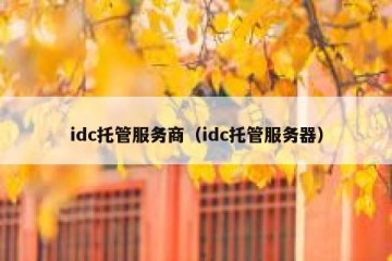 idc托管服务商（idc托管服务器）