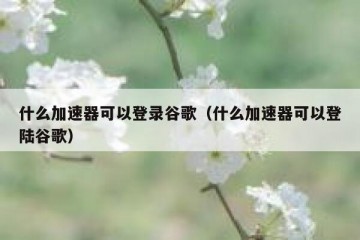 什么加速器可以登录谷歌（什么加速器可以登陆谷歌）